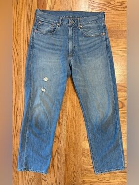 Denimist Lucy Cropped Distressed Mid Rise Boyfriend Jean size 26